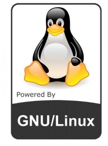 linux server